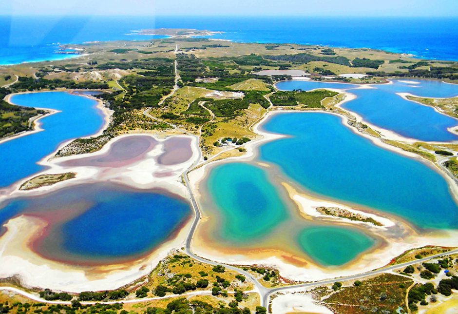 Rottnest sightseeing a natural adventure