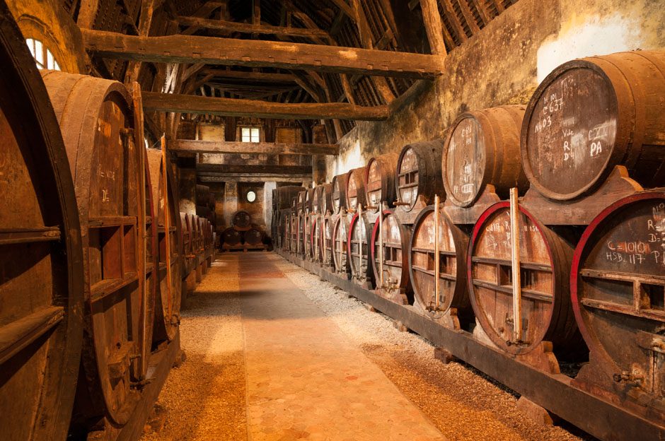 Big Apples and bees along Normandy’s cider trail