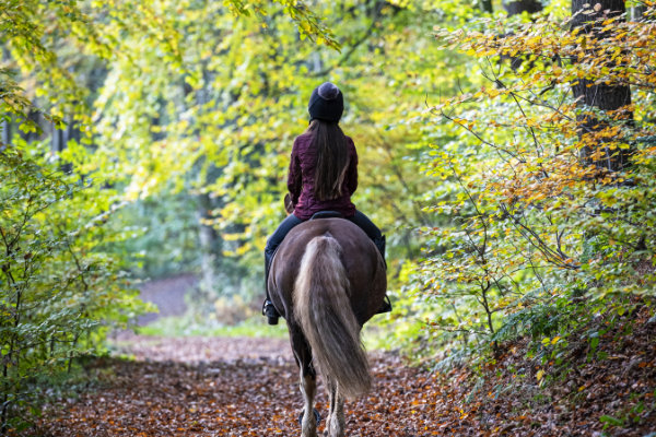 Karma Lake of Menteith Horse riding