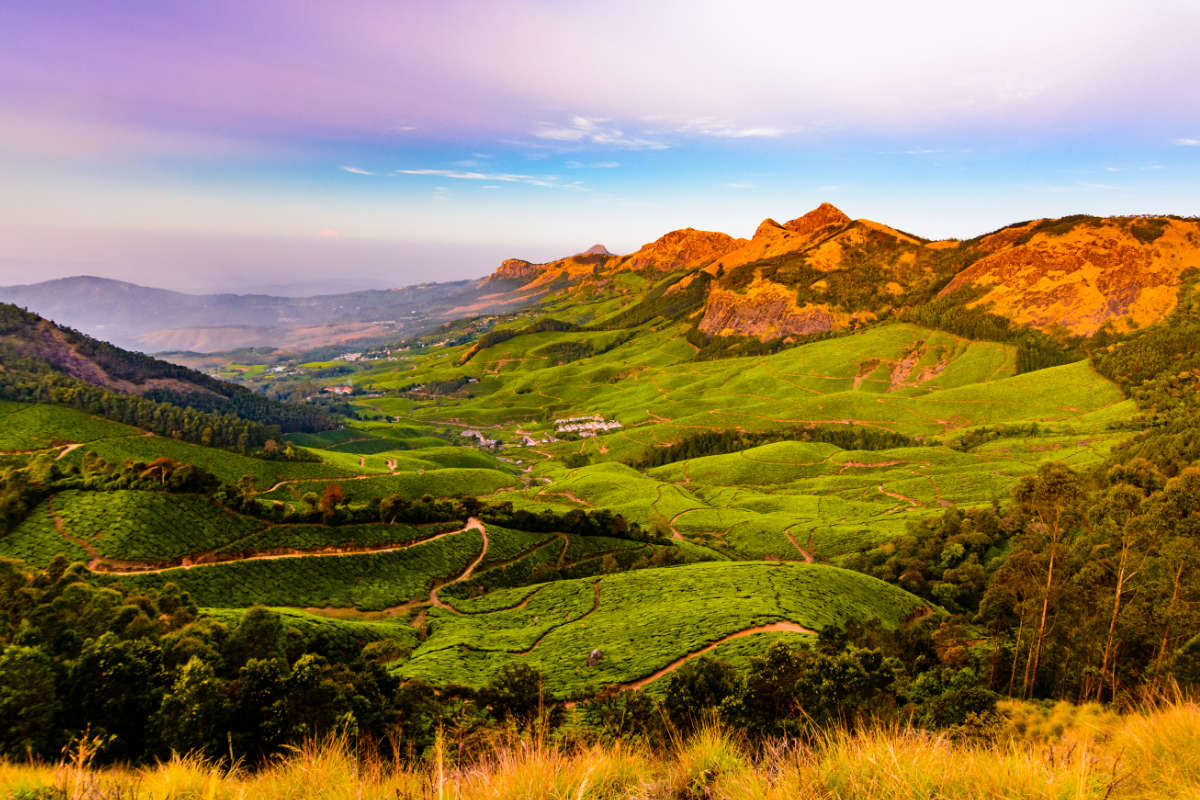 Karma Munnar Excursions 