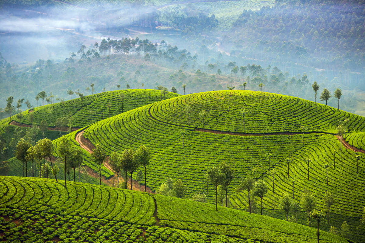 Karma Munnar Excursions 