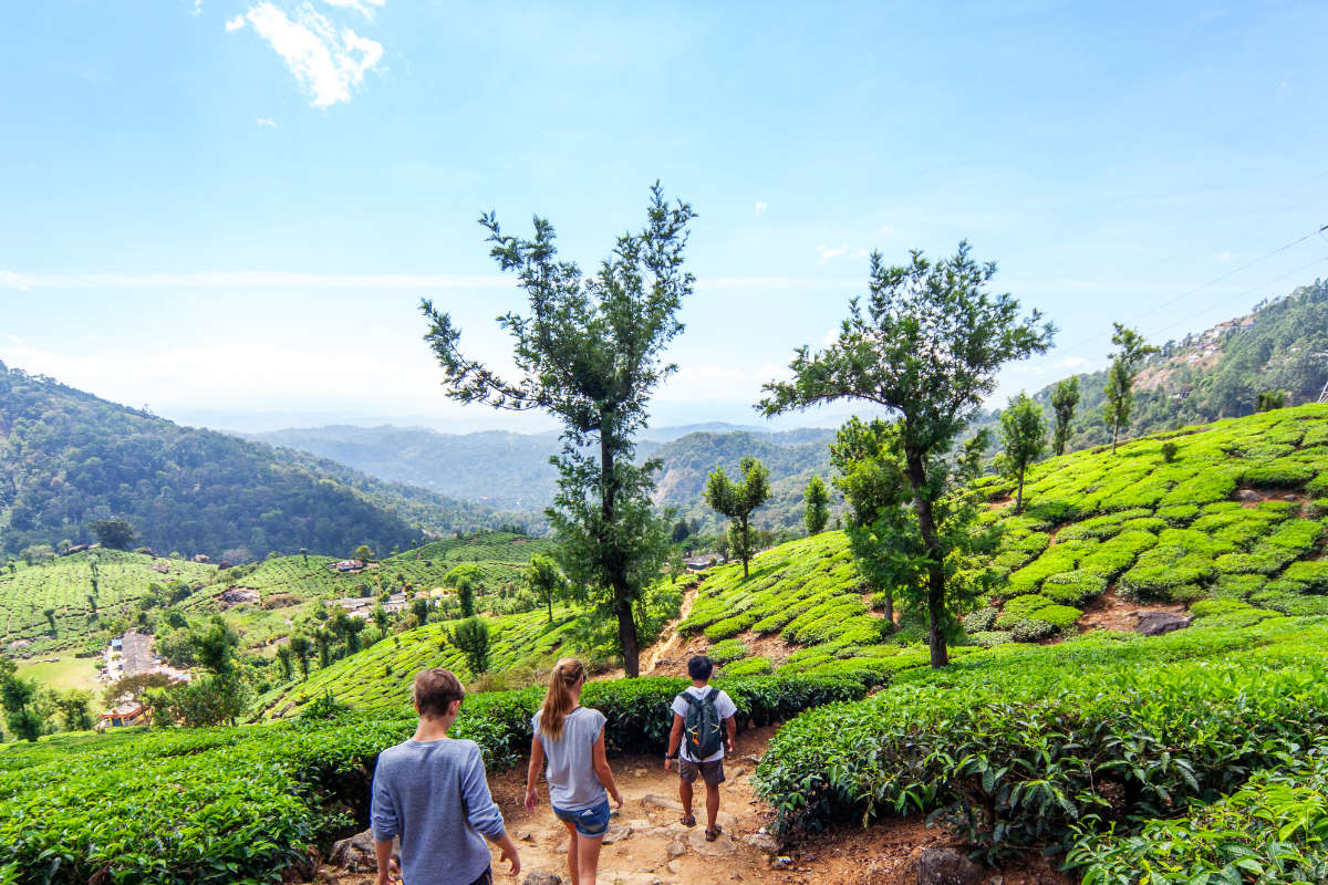 Karma Munnar Excursions 
