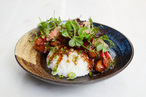 Karma Sanctum on the Green Mole & Badger Pub & Shokudo