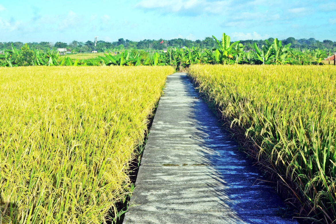 Karma Royal Sanur Hiking & Safari Trails Karma Royal Sanur Hiking & Safari Trails